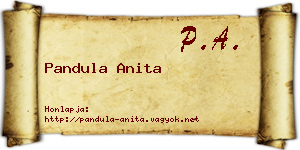 Pandula Anita névjegykártya